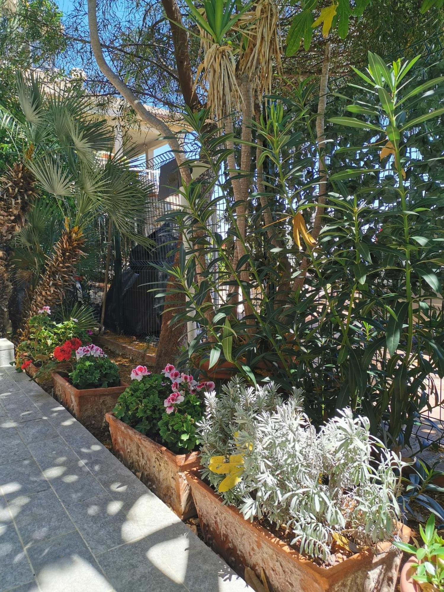 Panorama Apartment Addaura Palermo Kültér fotó